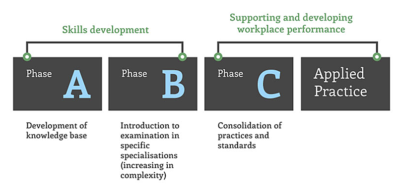 rpet phases