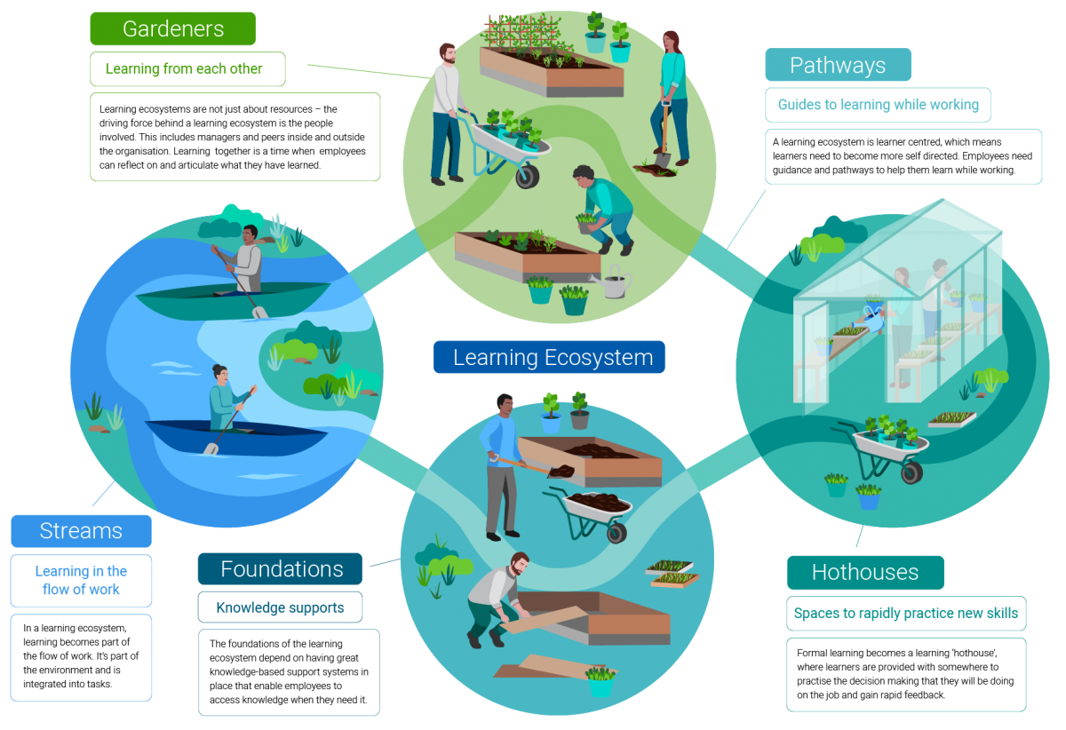 Learning ecosystem model