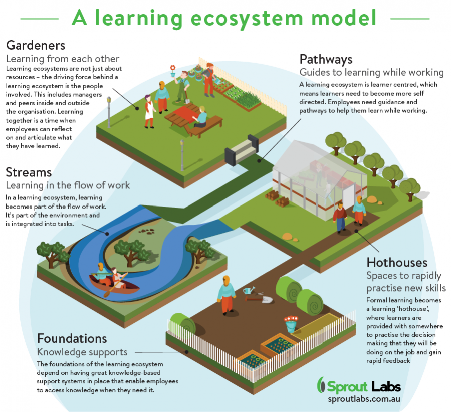 A learning ecosystem model