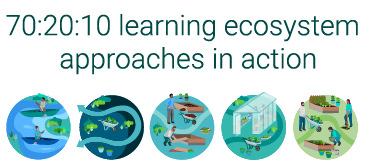 702010 learning ecosystem approaches Thumbnail